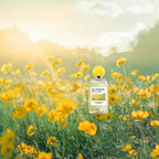 Eau Fraîche Pétillante - Citron & Baies Roses - image 2