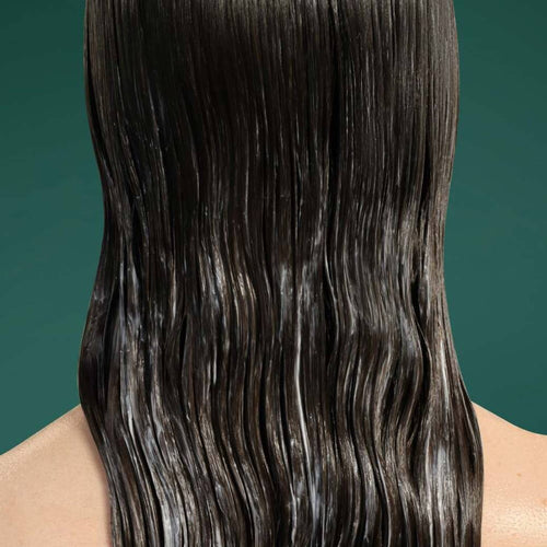 Après-shampooing Fortifiant - image 2